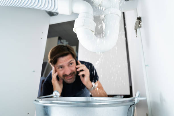 Best Septic Systems  in Carrollton, KY
