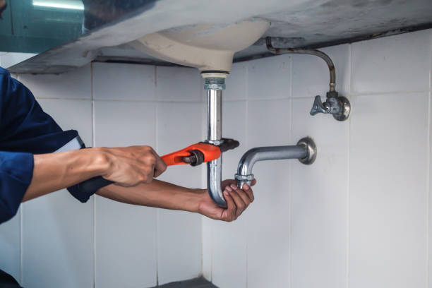 Best Toilet Repair Services  in Carrollton, KY