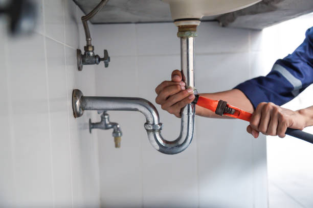 Best Local Plumber Services  in Carrollton, KY