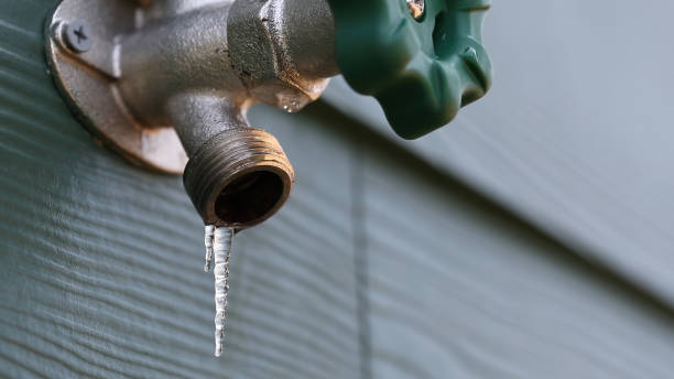 Best Leak Detection Services  in Carrollton, KY